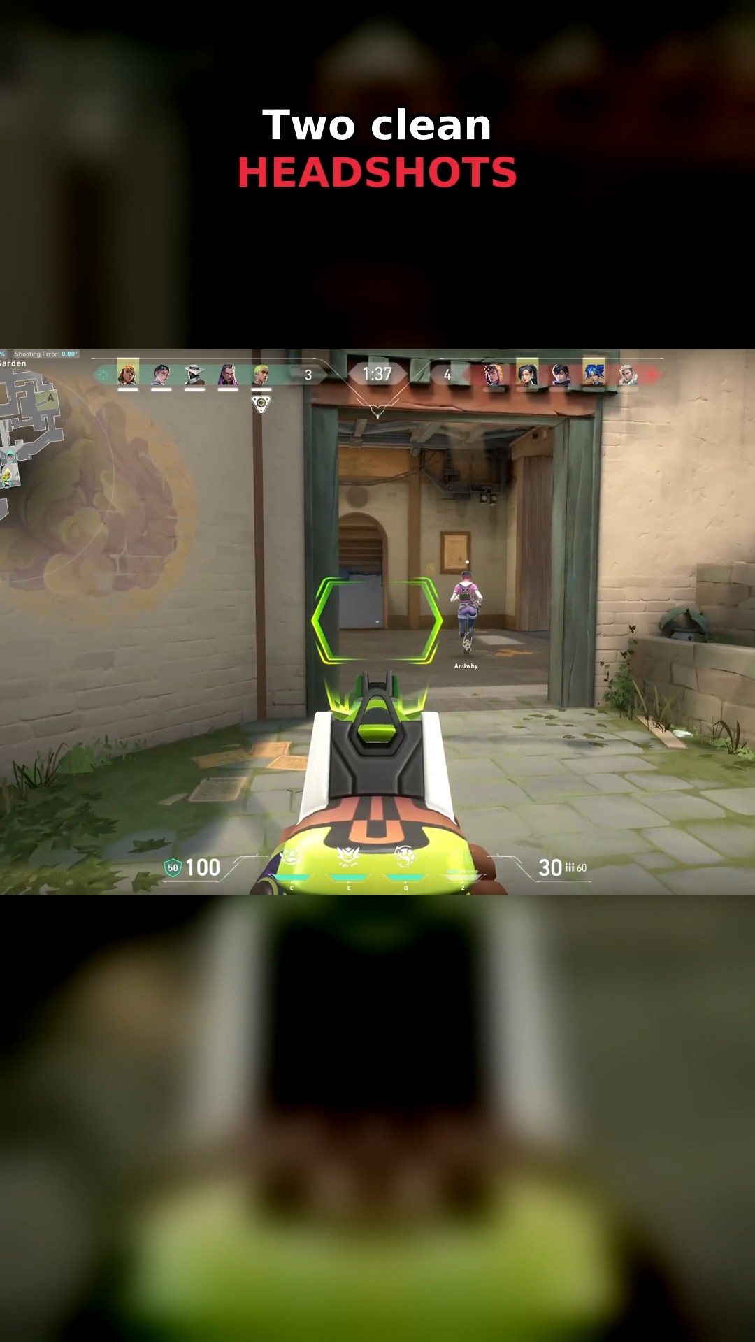 Two Headshots, Then My Molly Took Over thumbnail